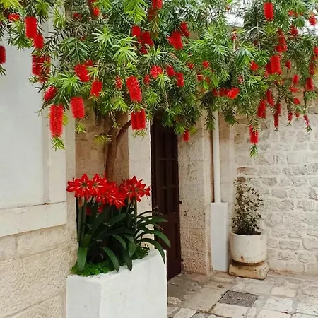 Bed & Breakfast Palace Derossi
