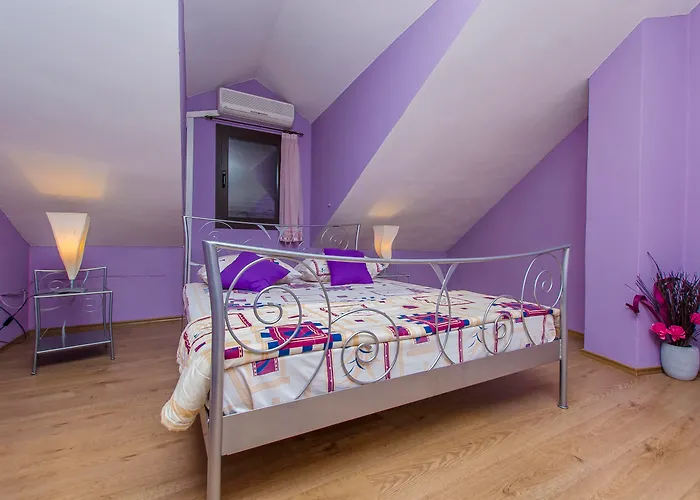 住宿加早餐酒店 德洛西宫殿酒店