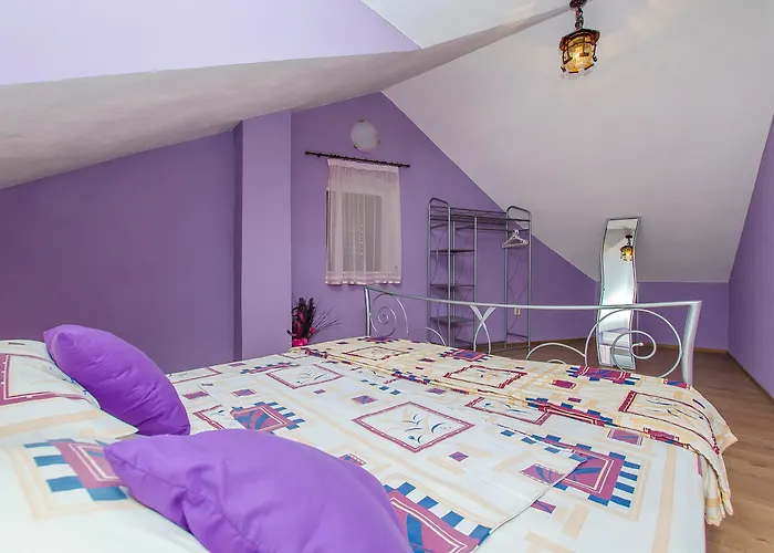 德洛西宫殿酒店 住宿加早餐酒店 3*