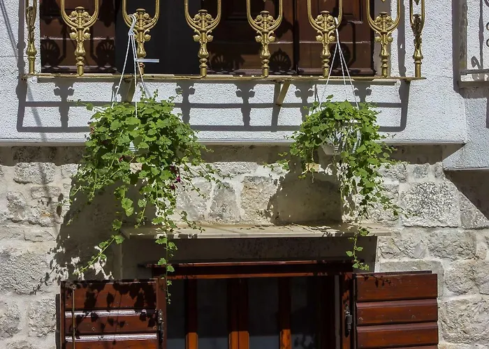 德洛西宫殿酒店 特罗吉尔