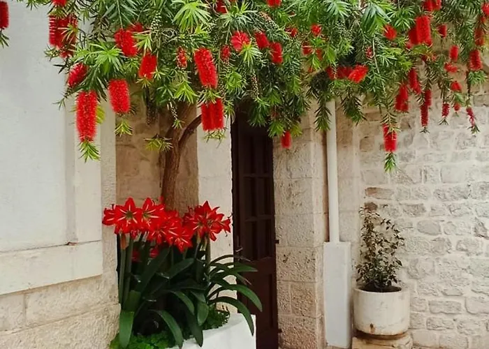 Bed & Breakfast Palace Derossi